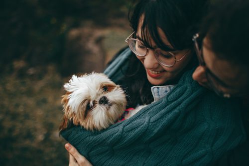 A person cuddles a fluffy little dog in a cable knit sweater.