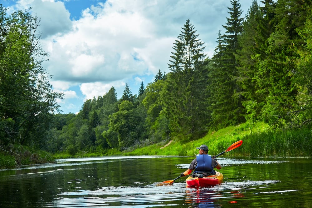 A person in a blue life vest kayaks down a calm river lined with bright green pine trees.