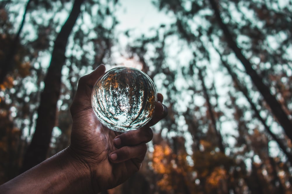 A hand holds a glass ball reflecting the surrounding trees upside down.