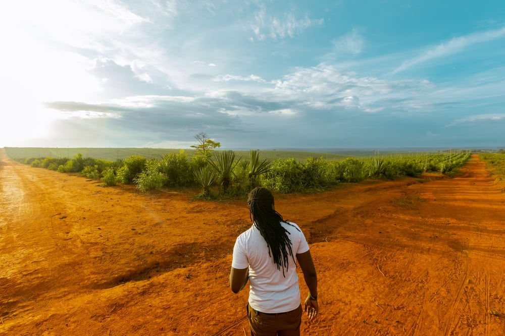 A person with long braids stands at the intersection of two red dirt roads in a rural landscape.