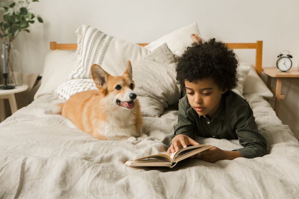 A child lies on a bed, reading a middle grade book to a corgi.