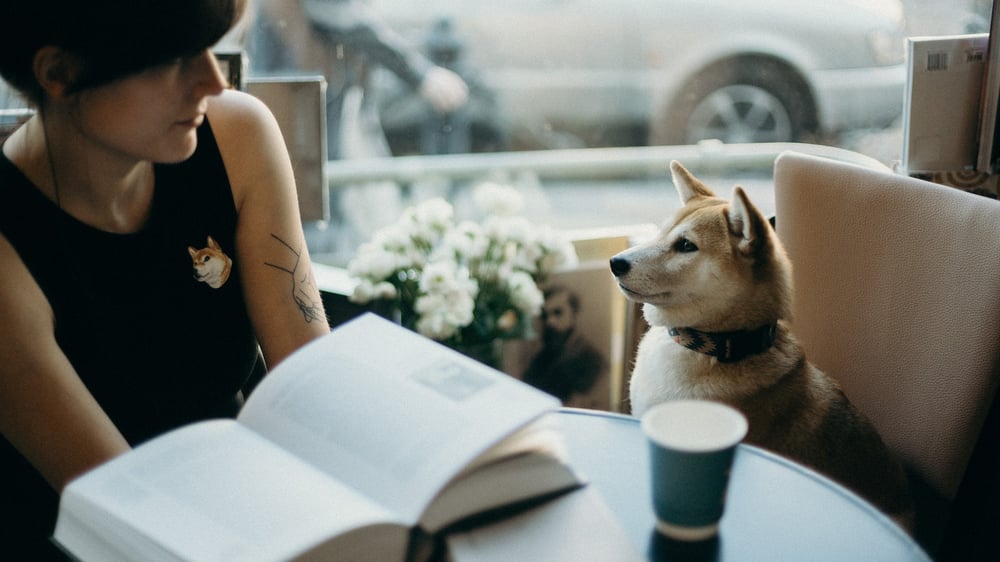A person and a dog sit beside an open book on a cafe table, staring at each other.