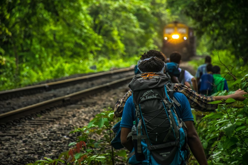 Hikers wearing backpacks approach a moving train in the jungle.