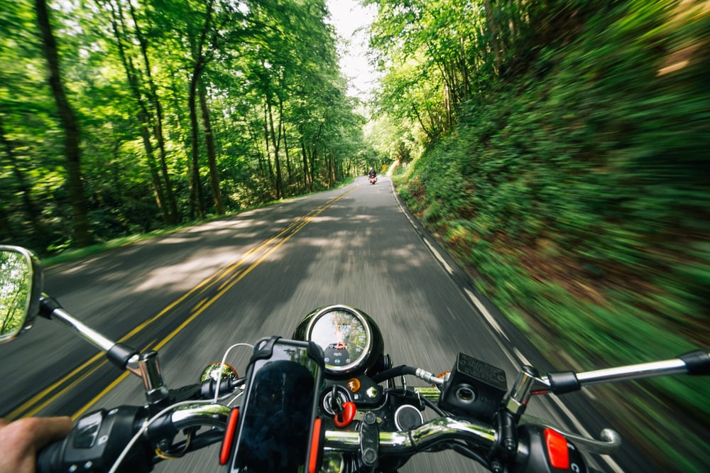 The driver's view of a motorcycle zipping along a forest road at a fast pace.