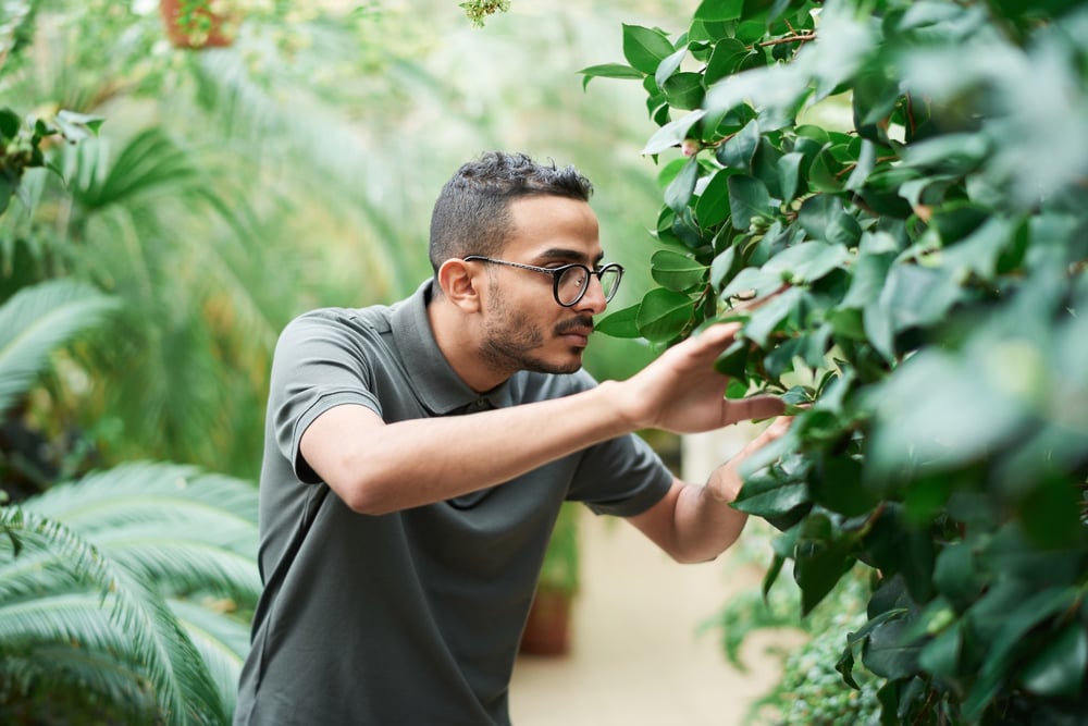 A male-presenting person wearing glasses searches for something in a large bush.