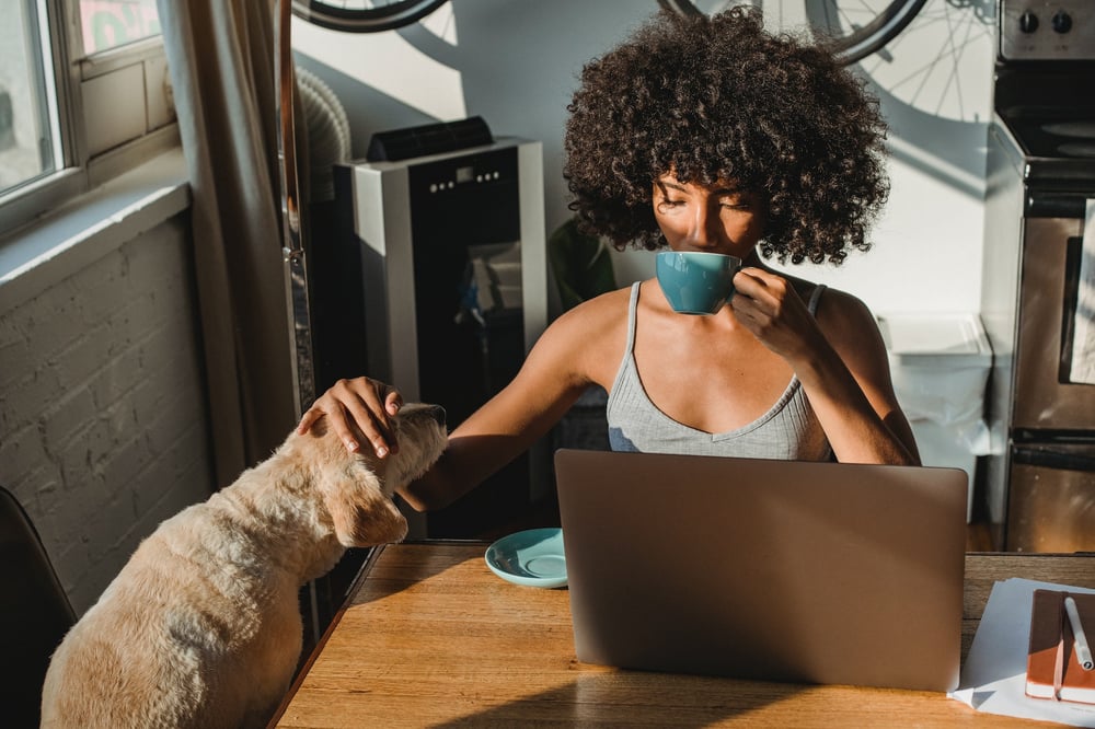 A person looks at a laptop screen while sipping a cup of coffee and petting a dog.