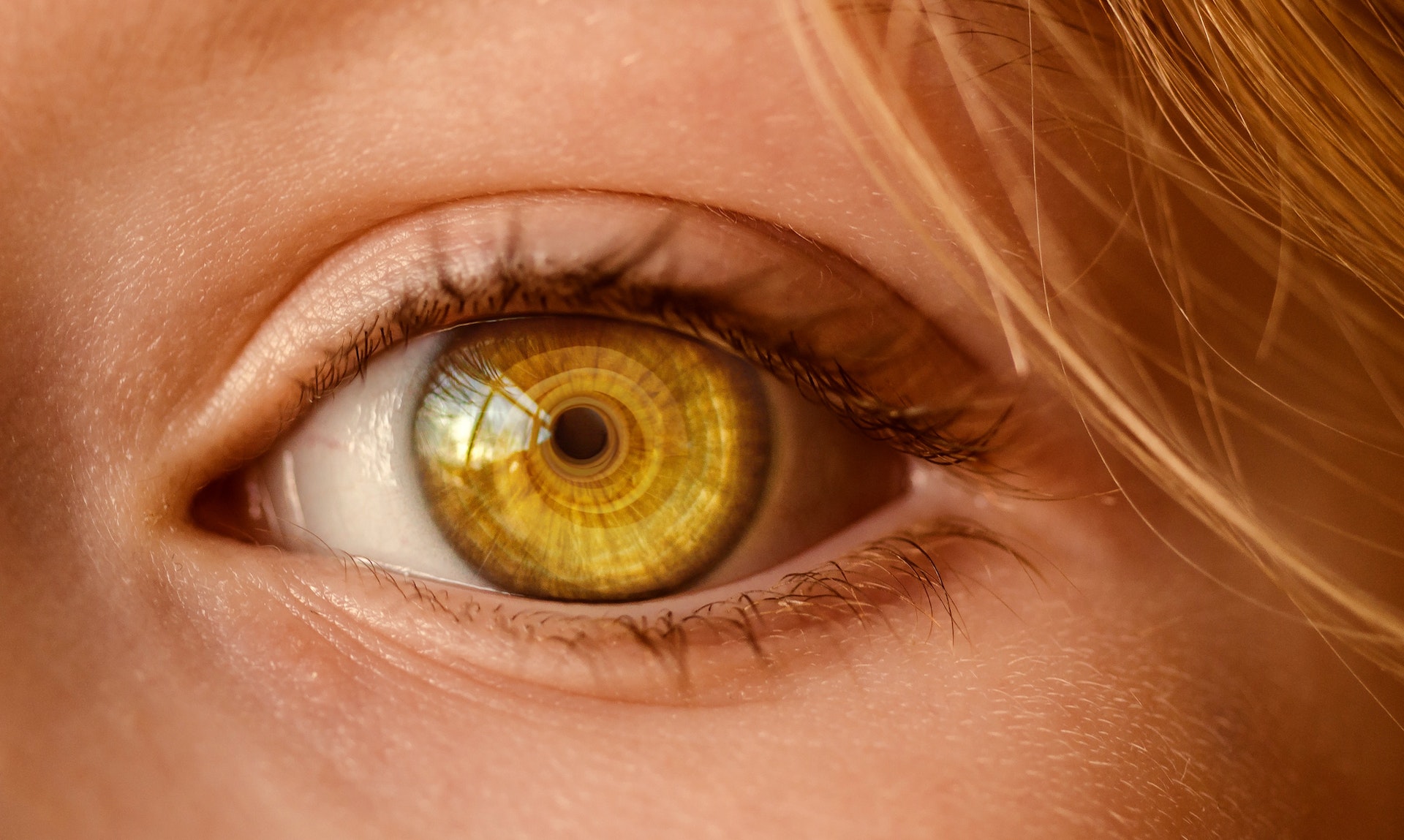 Close-up of an eye.
