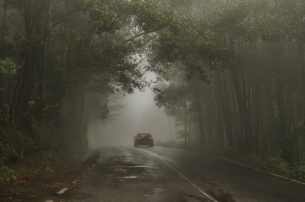 A car drives down an empty, dark, tree-lined road.