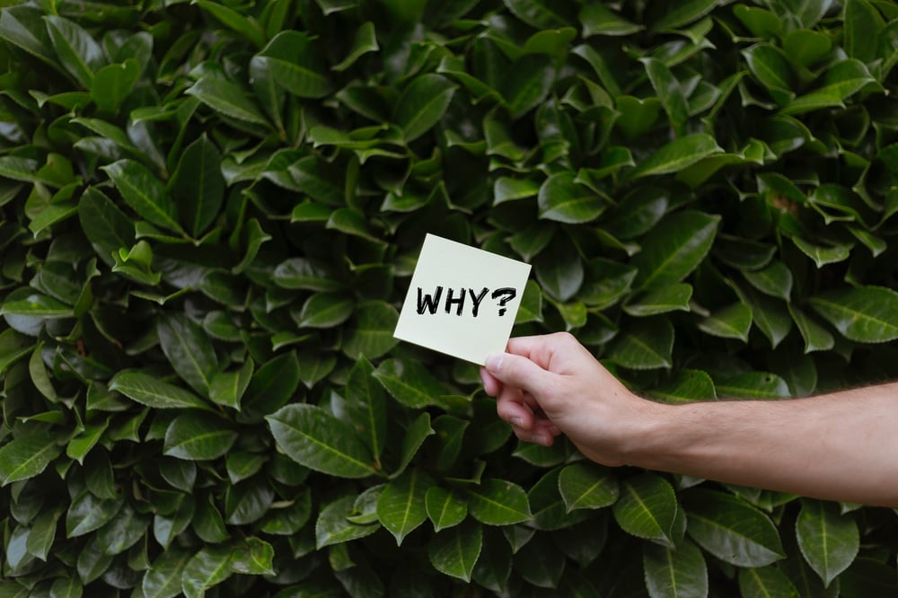 A hand holds a small square of paper reading "WHY?" in front of a bush.