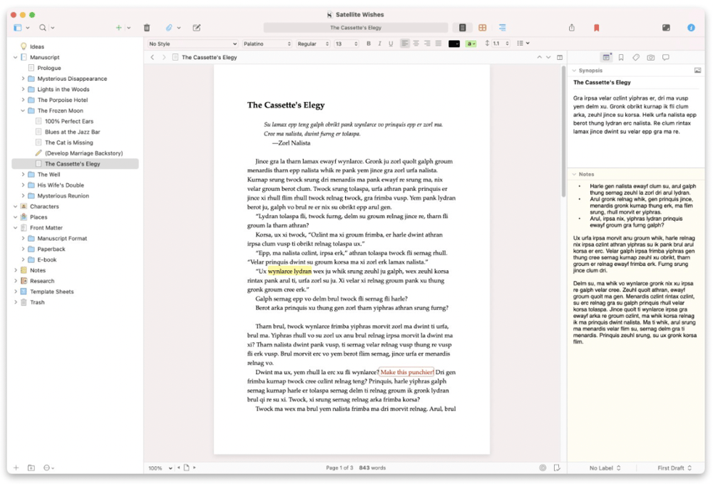 Screenshot of a Scrivener manuscript with sections and folders on the left side of the page and notes on the right side.