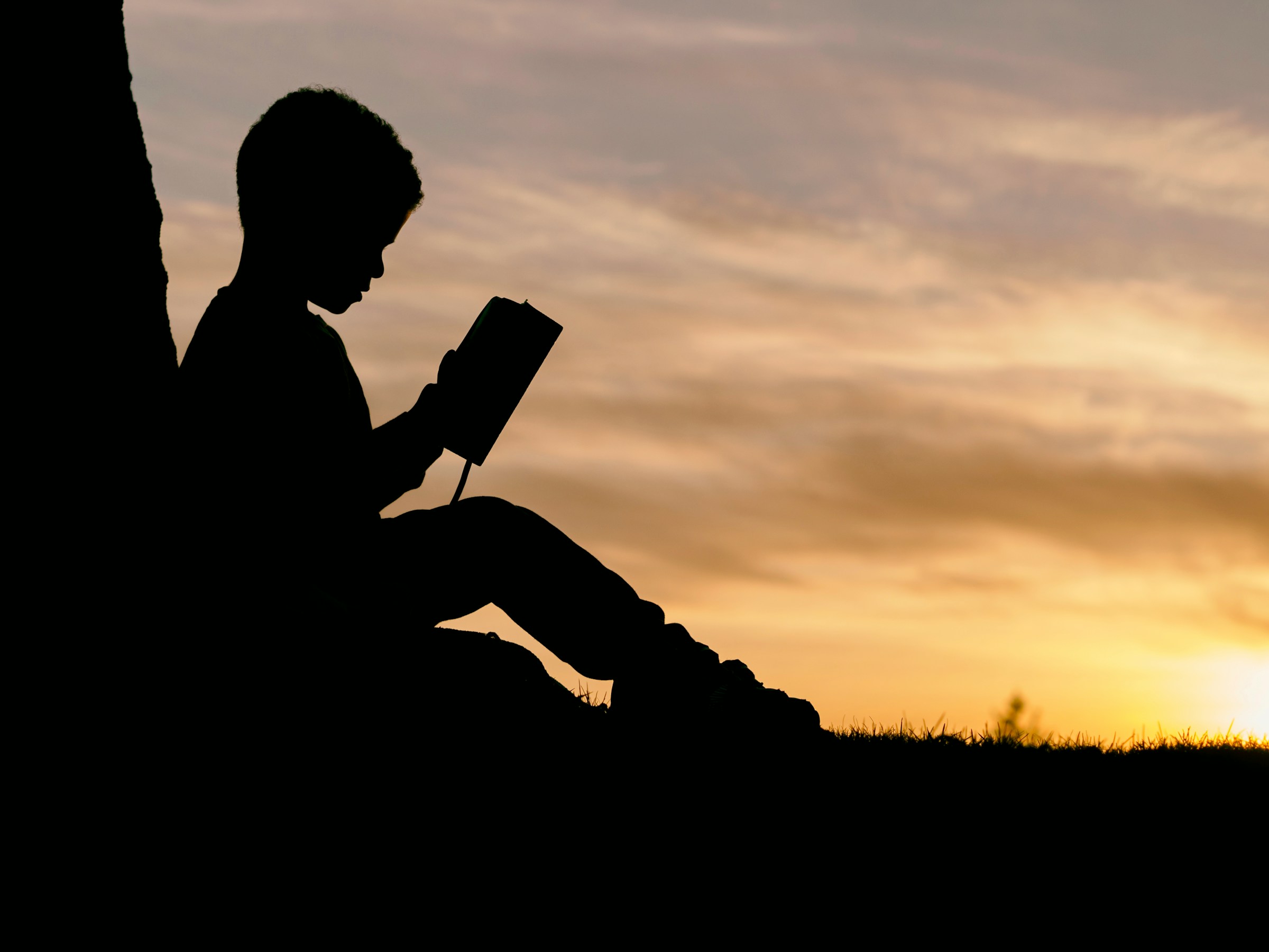 Silhouette of a child reading a book under a tree at sunset.
