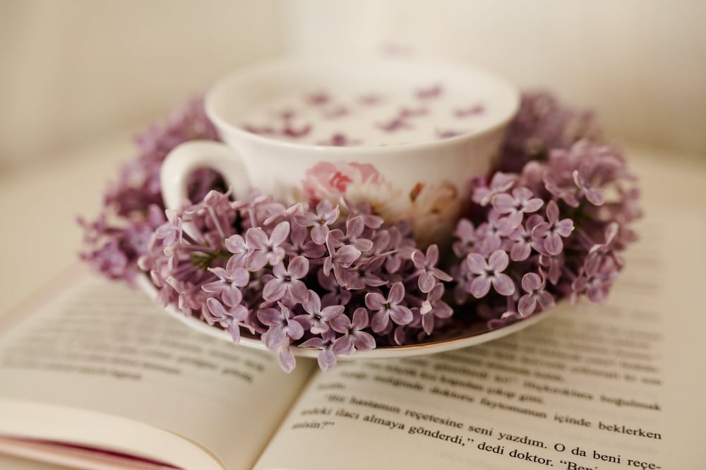 A teacup with big bunches of tiny purple flowers in its saucer sits on top of an open book.