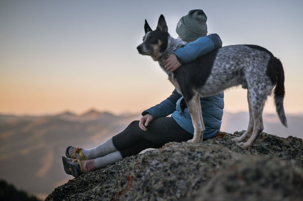 A person sits on a rock with their arm around a dog.