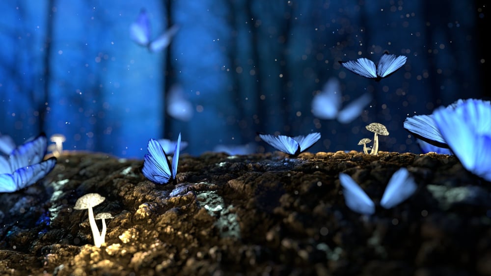 Brightly lit butterflies and mushrooms on a log in a fantasy setting.