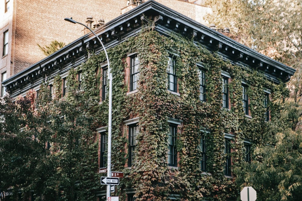 A city building covered in vines.