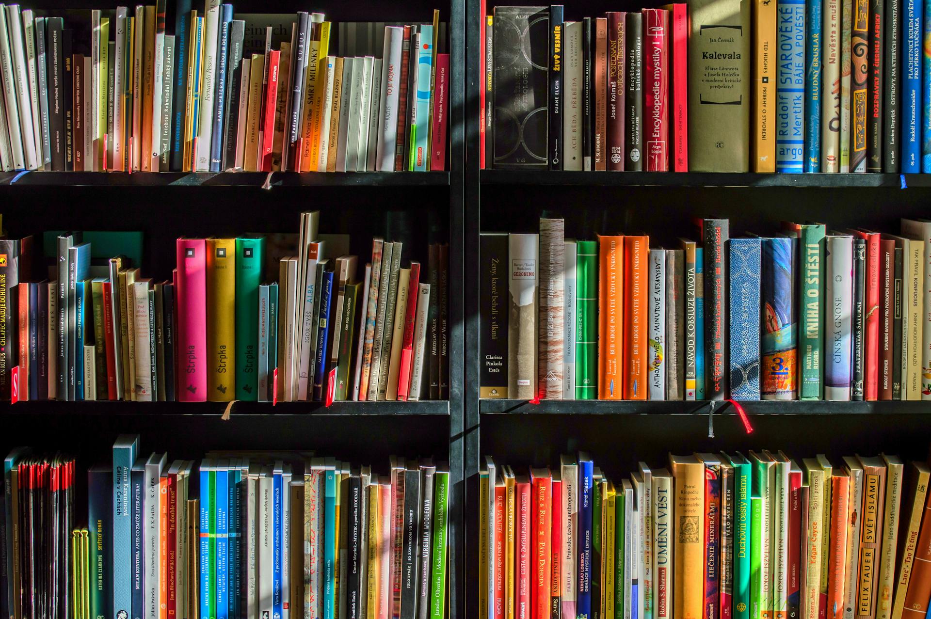 Colorful books on black bookshelves.