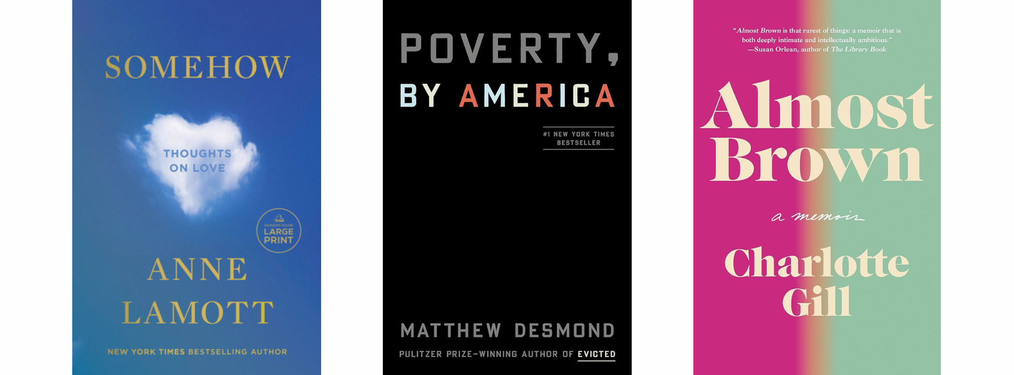 The book covers  for Somehow, Poverty by America, and Almost Brown.