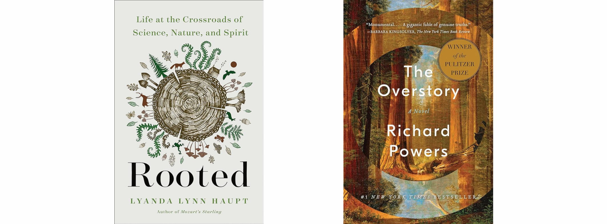 The book covers for Rooted and The Overstory.