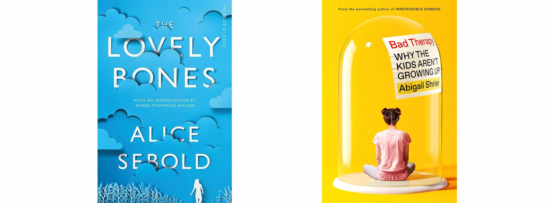 The book covers for The Lovely Bones and Bad Therapy.