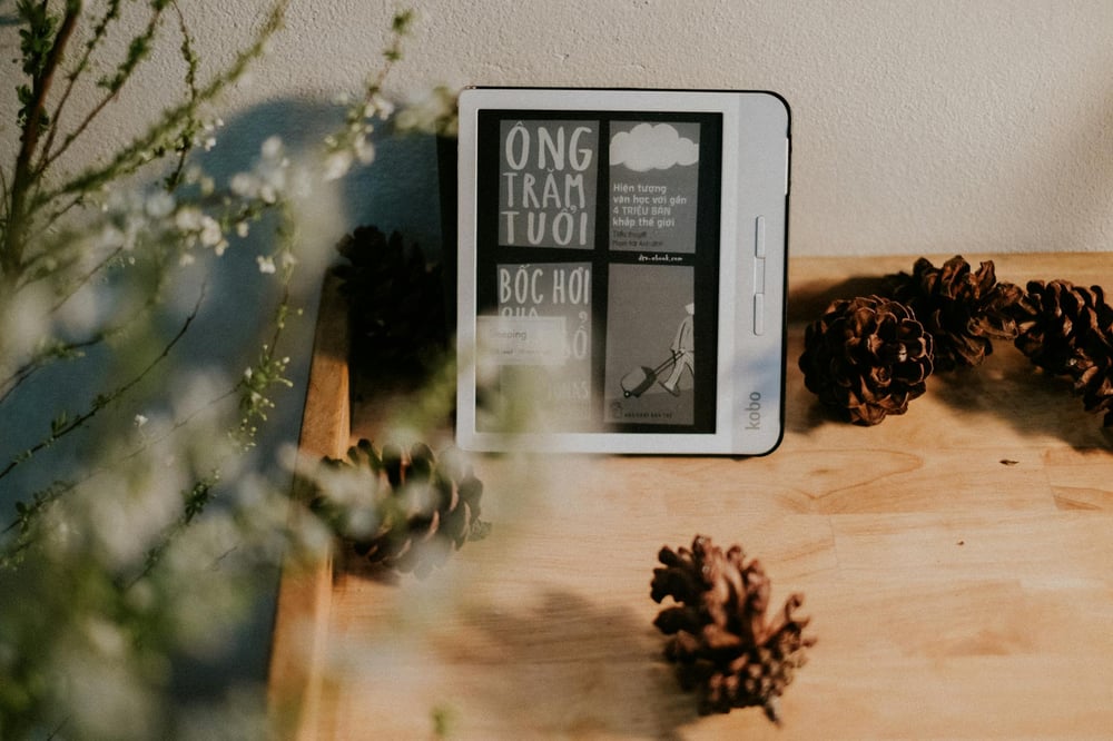 An ebook cover showing on a Kobo reader that sits on a wooden table surrounded pinecones and branches.