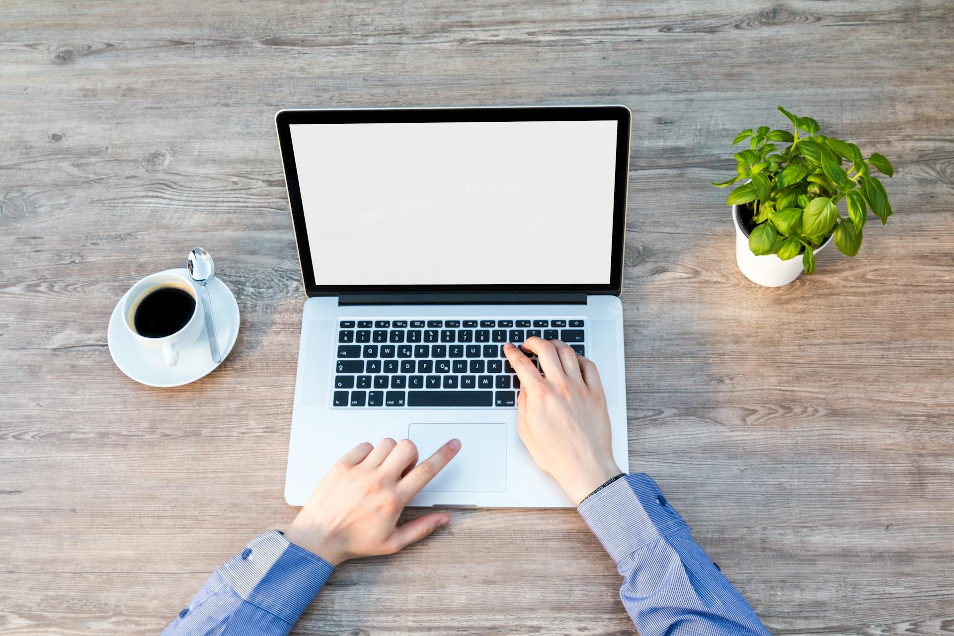 Hands type on a laptop sitting on a desk between a cup of coffee and a small houseplant.