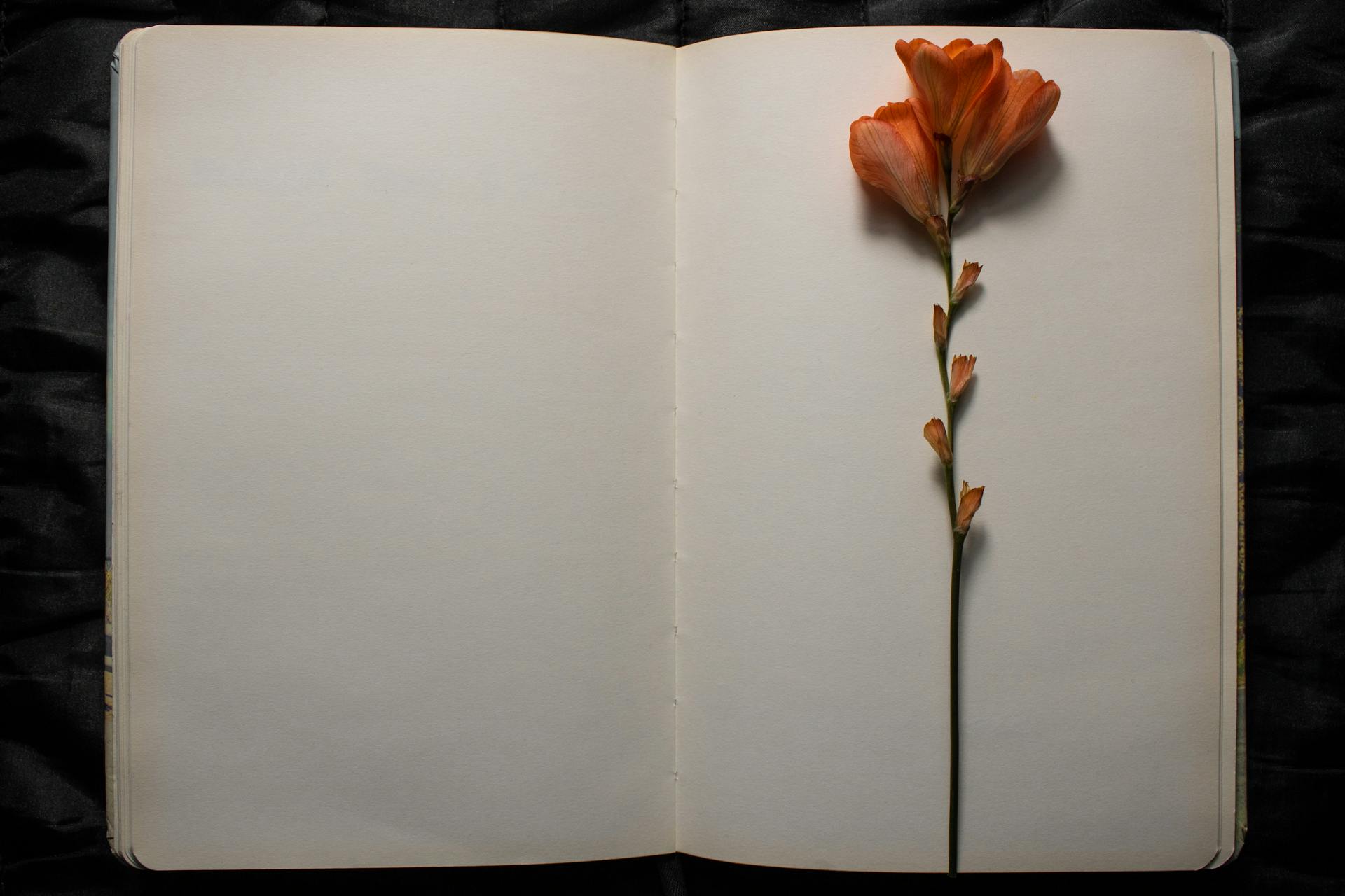 A blank, open journal with an orange flower resting on the right-hand page.