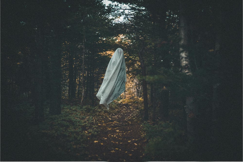 A ghost floats between the trees of a dense forest.