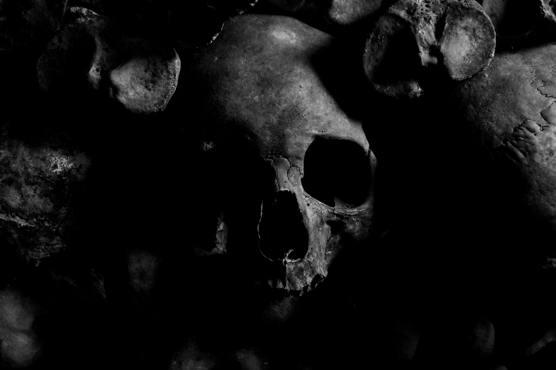 A gray human skull partly in shadow.