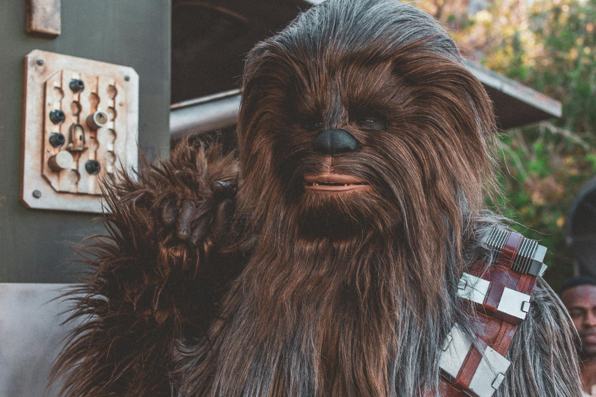 Chewbacca from Star Wars.
