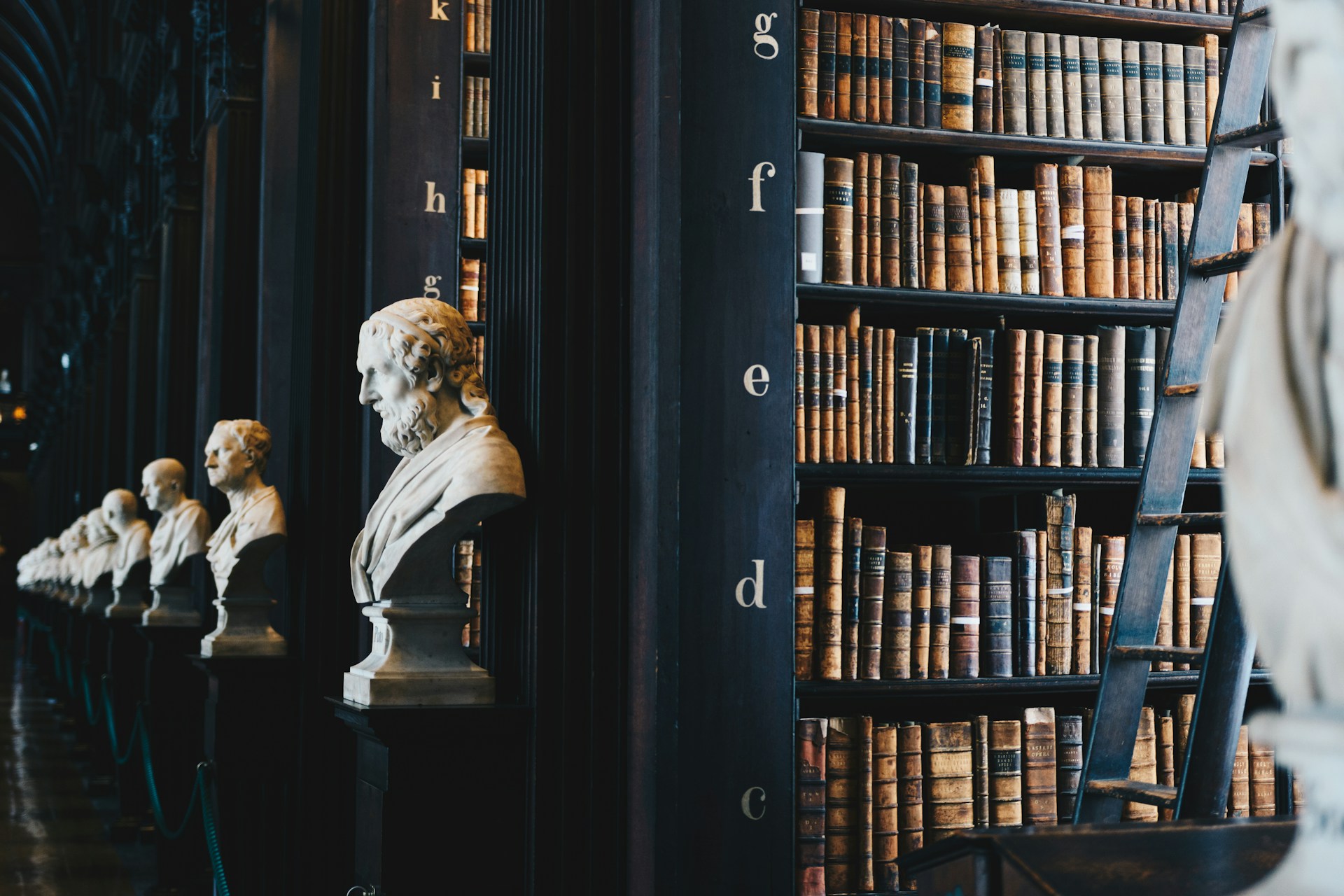 A row of library shelves with a historical bust at the end of each one.