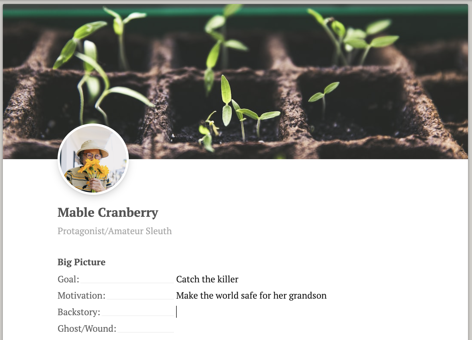 A screenshot of a mystery character profile in Dabble, with a profile photo, banner photo and property list.