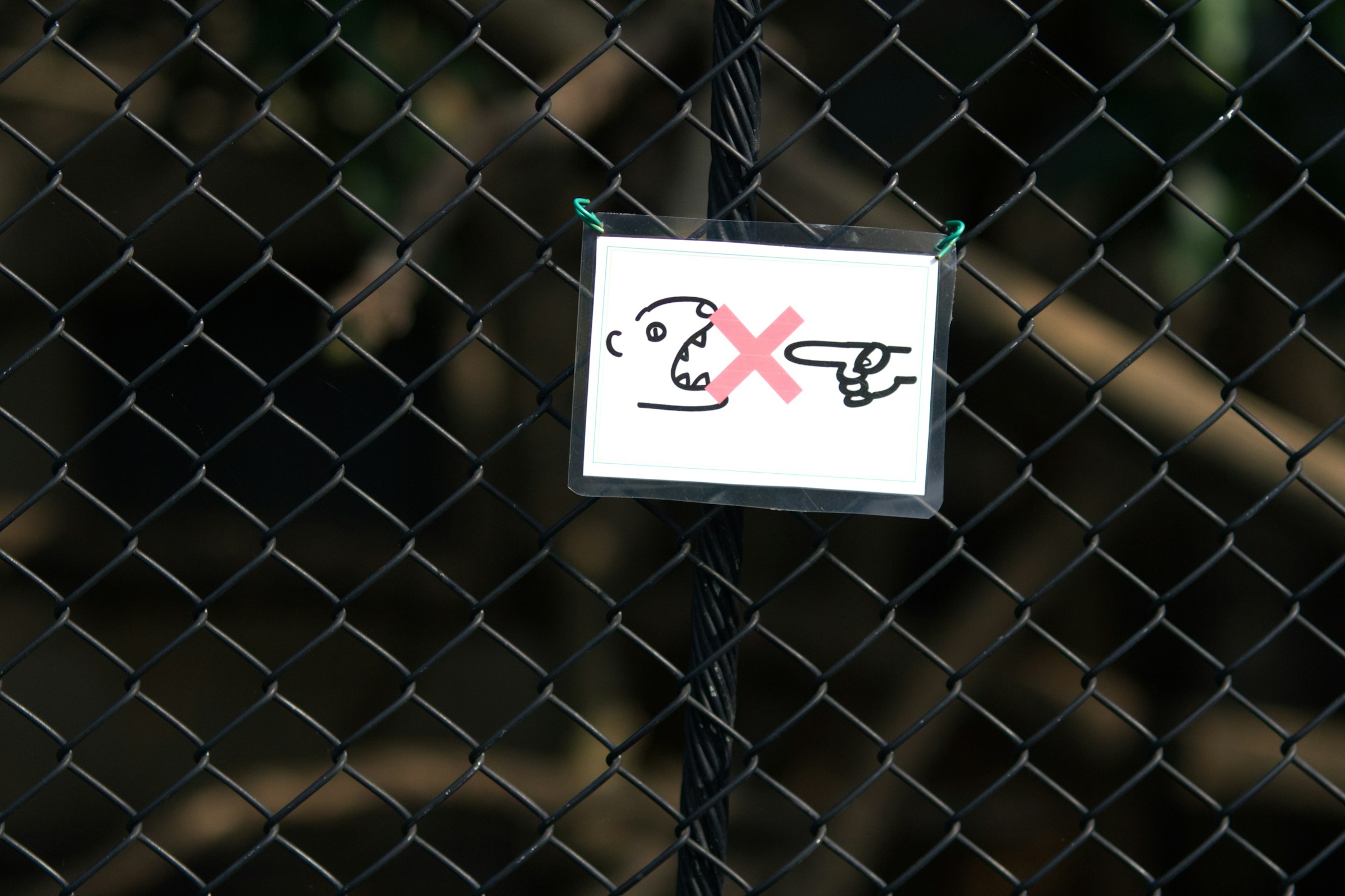 A tiny warning sign clipped onto a chain-link fence shows a finger pointing at the mount of a barking dog with an 