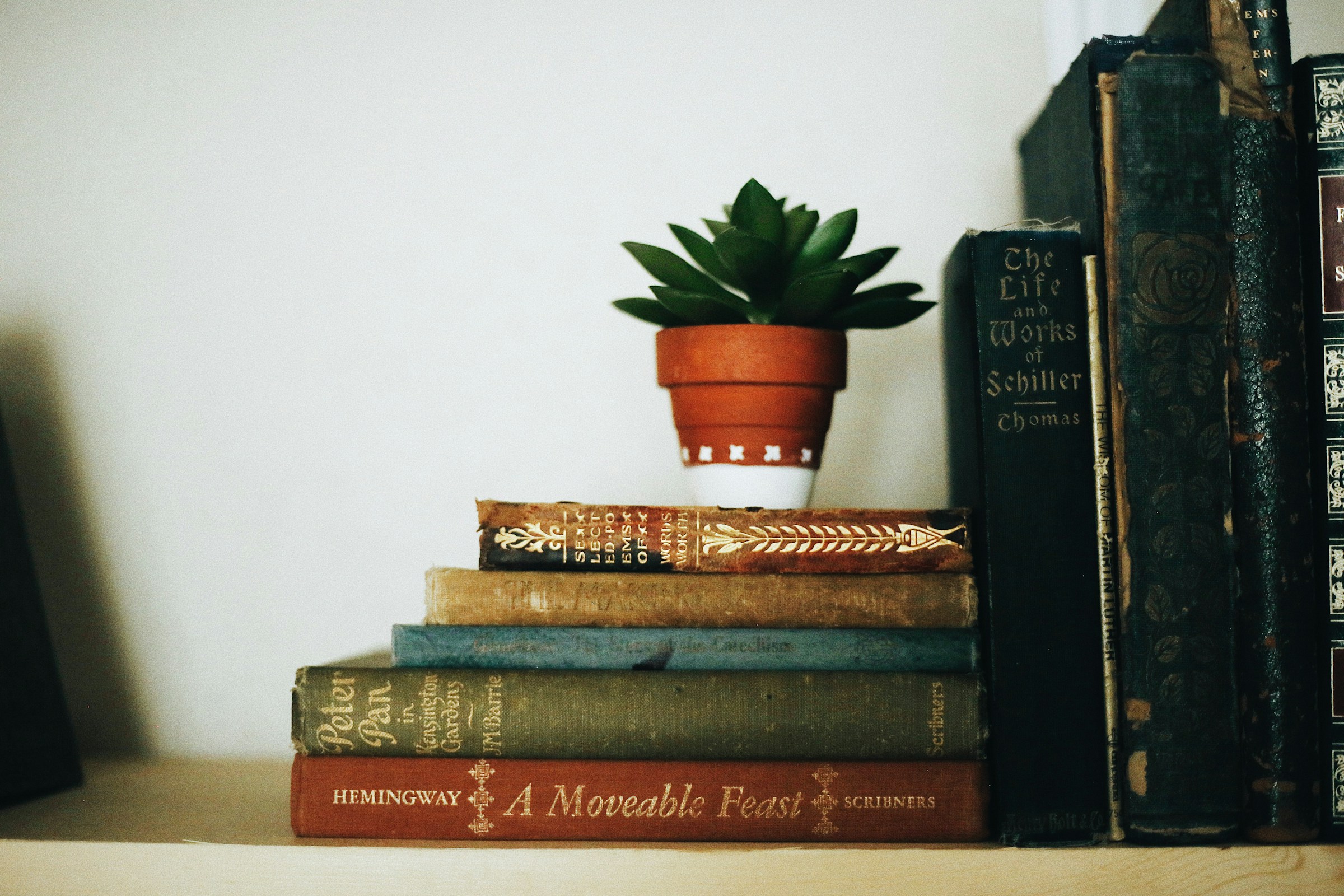 A stack of battered antique books holds up a row of antique books. A small potted plant sits on top of the stack.
