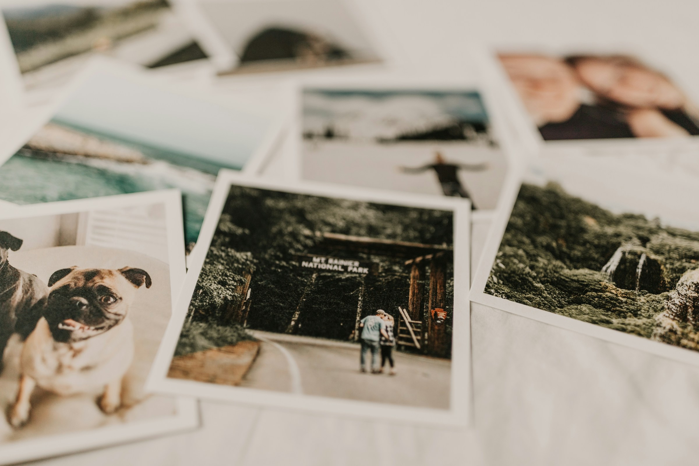 Photographs of friends, dogs, and vacations scattered on a white surface.